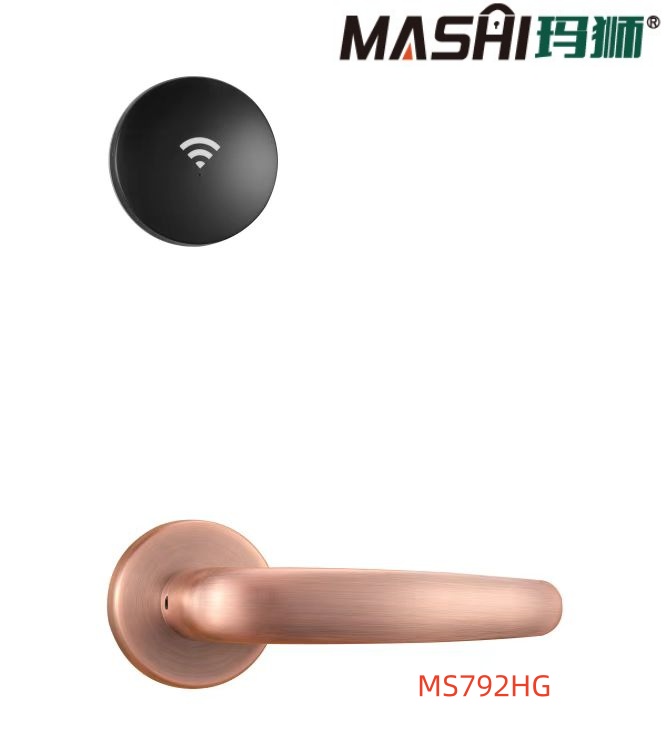 MS792HG.jpg