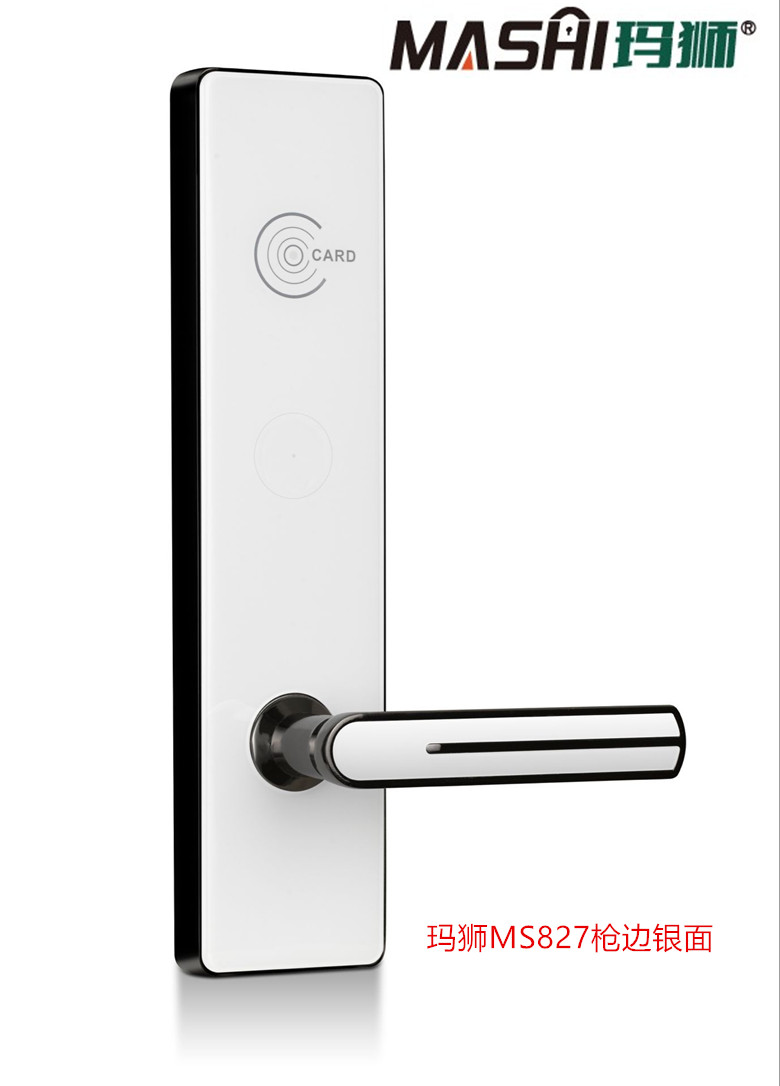 玛狮MS827枪边银面.jpg