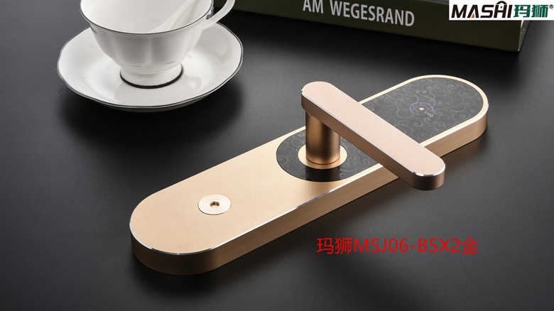 玛狮MSJ06-B5X2金-1.jpg