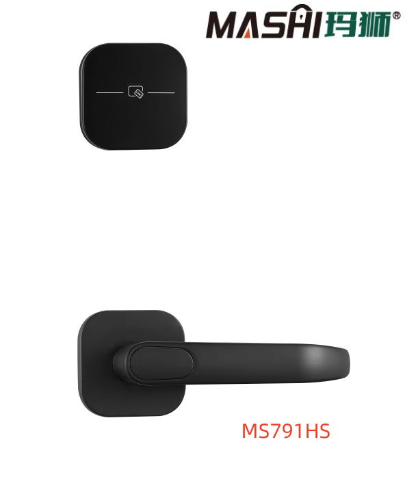 MS791HS.png