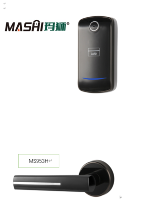 玛狮MS953H