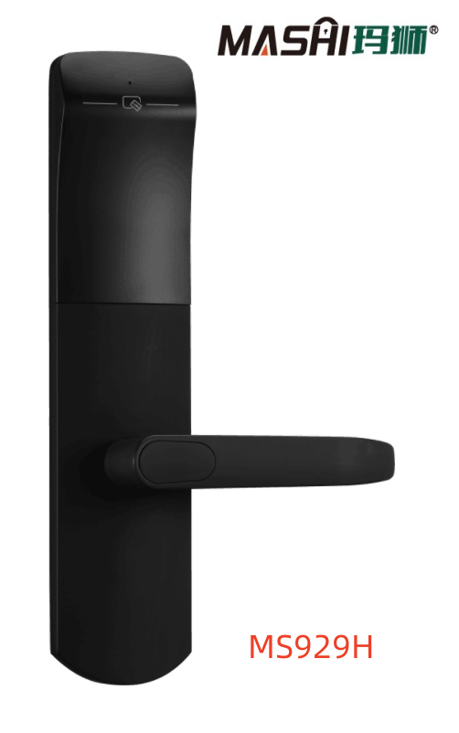 MS929H.png